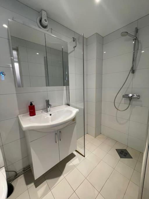 Larvik Appartment In The City Zewnętrze zdjęcie